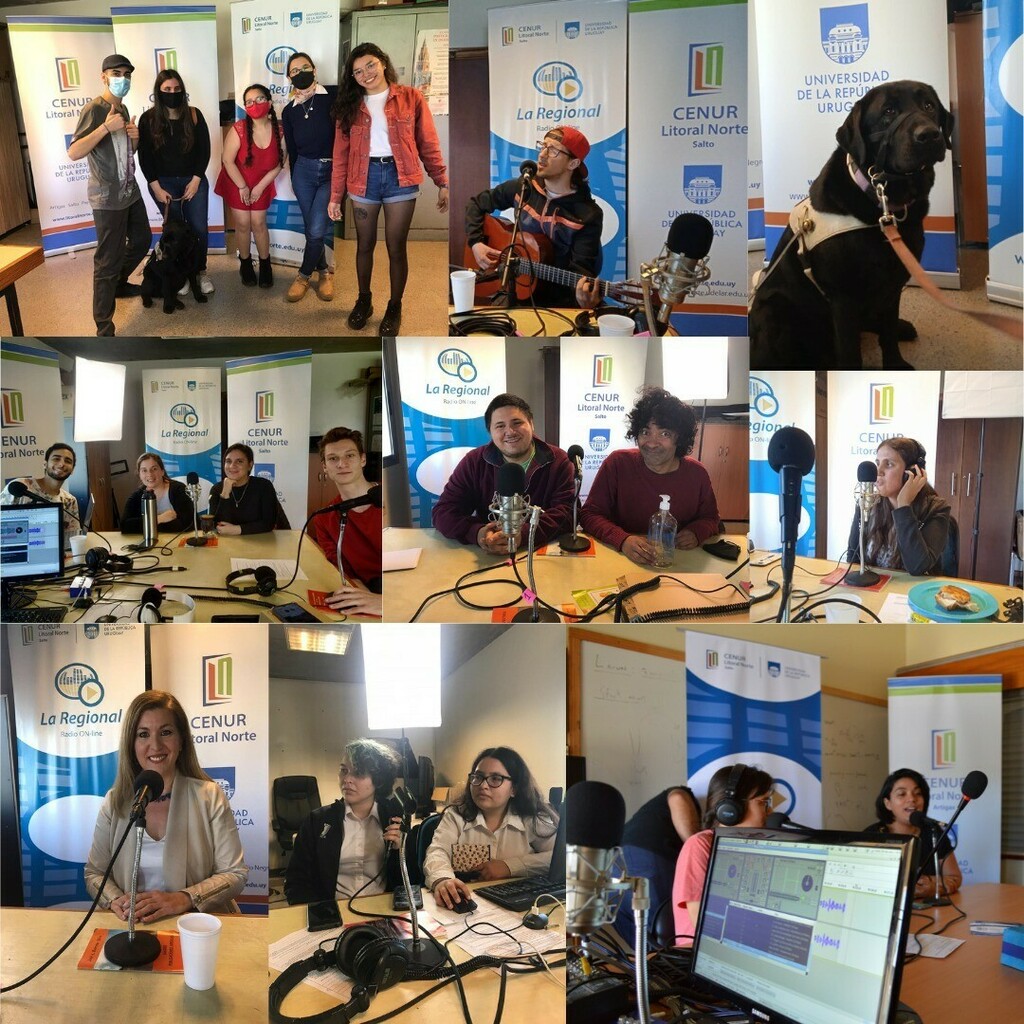 viernesvozz's tweet photo. Muchas GRACIAS a todos los espectadores e invitados por formar parte de este proyecto! https://t.co/NgEYj0keXQ https://t.co/0xljzoP7Fc