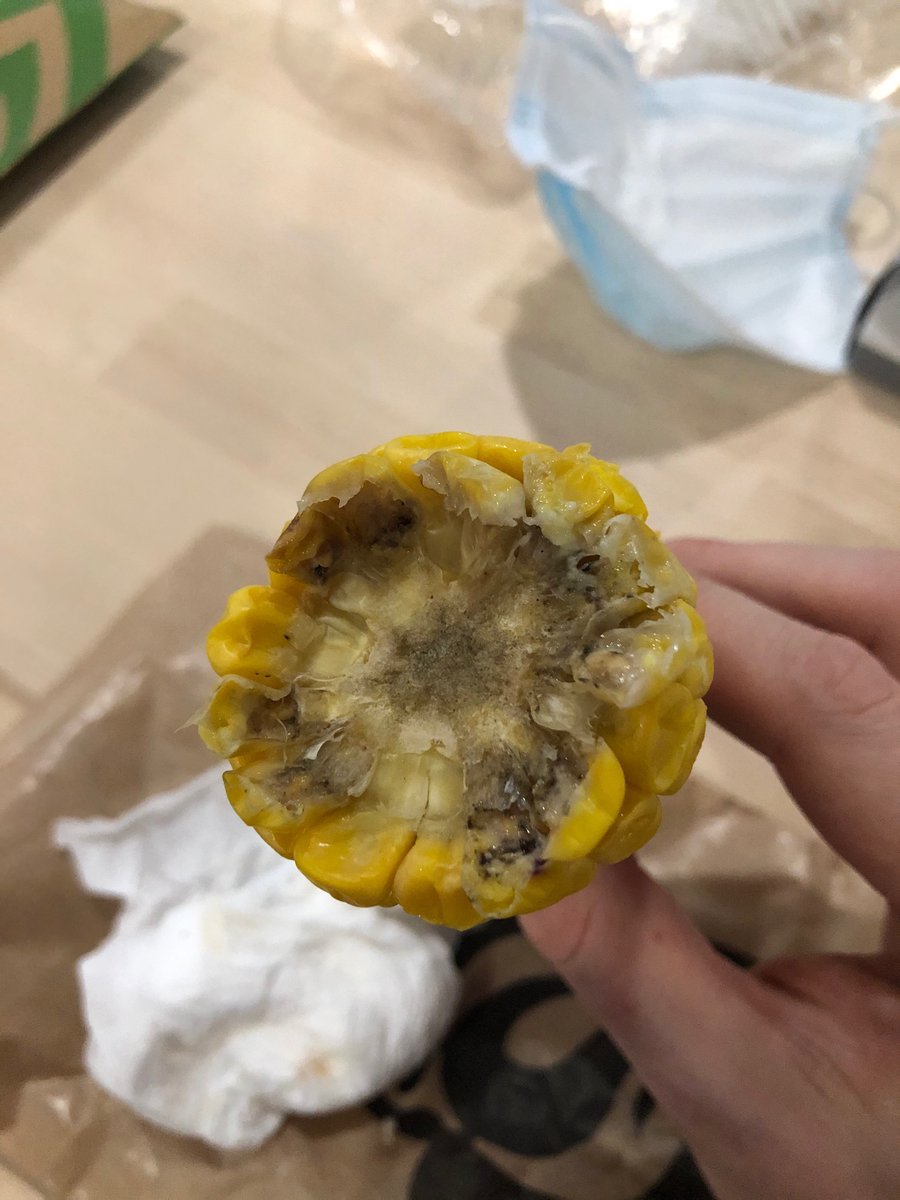 nosamno's tweet photo. Has anyone had a similar experience. Ordered @NandosIRE Dundrum from @Deliveroo_IE on Tuesday. Corn on the cob was rotten! @Deliveroo_IE refunded me 3.50. Bit of a joke for being delivered/served rotten food. #Ireland #takeaway #deliveroo #Nandos #service https://t.co/iEnBXO0k36