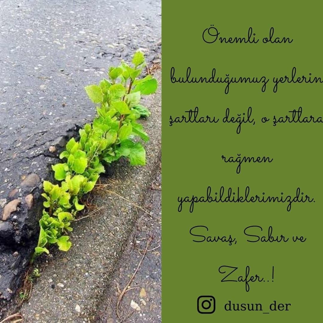 dusun_der's tweet photo. Sizden gelenler köşemizde bu hafta.. 🌸 Siz gönderin biz paylaşalım. 🦋
.
#sizden #sizdengelenler #sizdengelenler👍 #si̇zdengelenler #düşünder #düşünderyardımeli #atölyeler #insanlık #faaliyetler #çalışmalar https://t.co/WA5GJ8P7Za