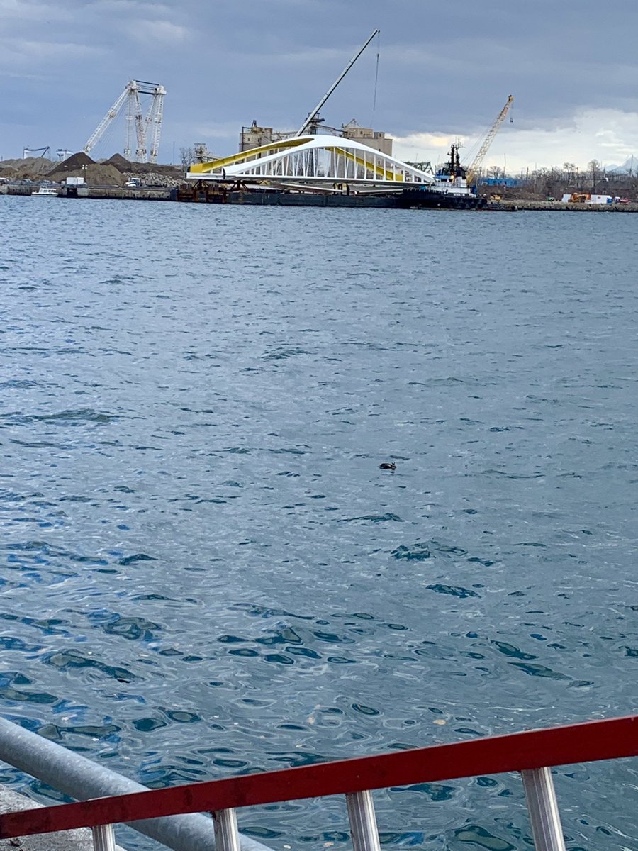 Mariana_ArtsTO's tweet photo. Walked outside the door today & saw the 4th bridge resting along the future mouth of the Don River #BridgeWatchTO https://t.co/UcVv3ChEOO