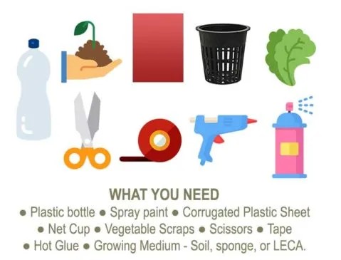 Welcome to a guide on how to build your own homemade hydroponics system. Grow your own food completely out of vegetable scraps, household products and very cheaply, why not?
@AlemanEnBaja
 <a href="/Pacenos/">Paceños</a>
 <a href="/Bajapreneur/">Bajapreneur</a>
 <a href="/BajaPromotions/">Baja Promotions</a>
 wwwizzards.com/hydroponics