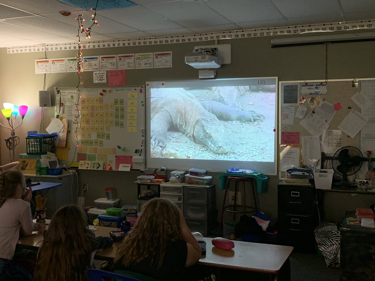 MuellerTeach's tweet photo. Enjoyed participating in our first #GEOshow #virtualfieldtrip yesterday! We learned about Komodo Dragons and their adaptations-lots of great information! #bpsdragons #440proud #muellerisamazing #muelleristheruler #440apls #learningaroundtheworld @learnATW https://t.co/EDNY6xbEqd
