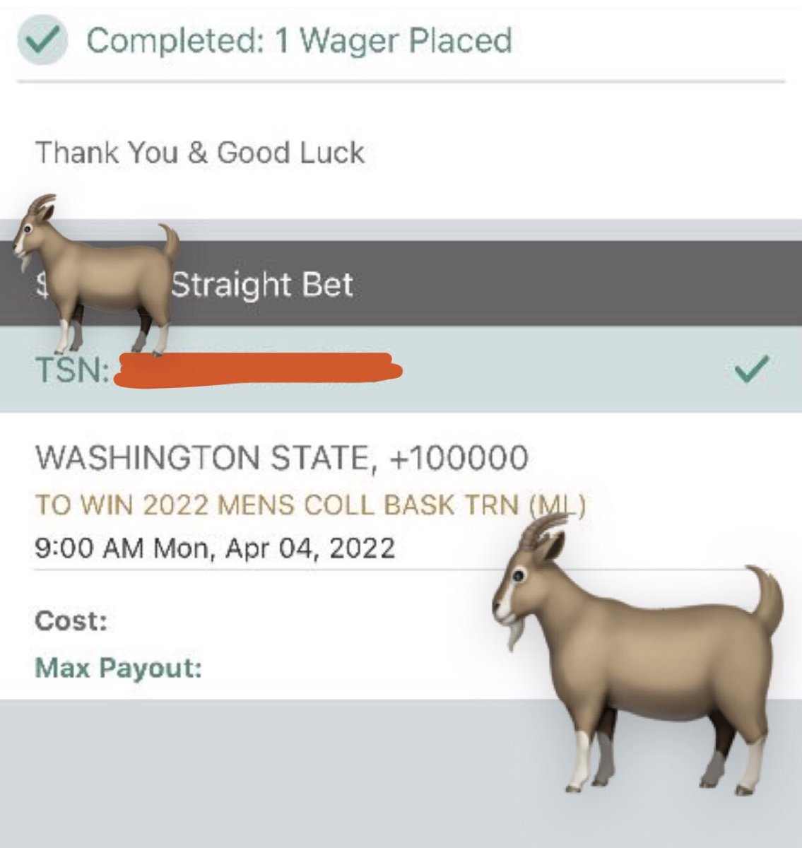 bighitterbilly's tweet photo. 🚨COLLEGE🏀🏀🏀FUTURES🚨

💣 Washington State to win Pac 12 conference (36/1)
💣 Wazzu to reach Final Four (60/1)
💣 Wazzu to win NCAA Title (1000/1)

The dark horse 🐴 contender in the Pac-12….

Don’t 😴 on the Wazzu Cougars

(1/5)

🐐🐐🐐🐐🐐

#bighittersONLY #gamblingtwitter https://t.co/VBoX1DLsKF