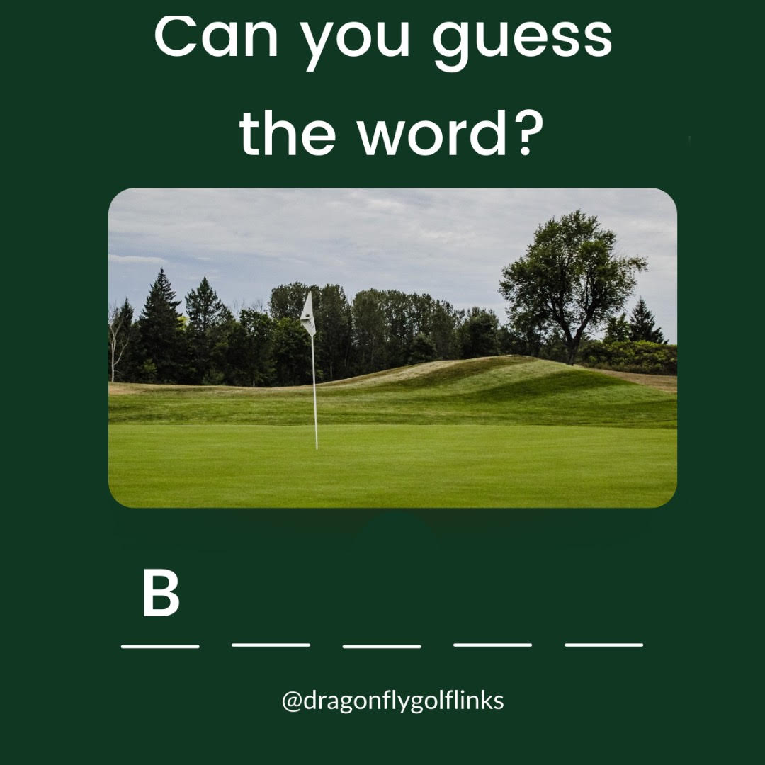 Dragonfly Golf Links tweet media