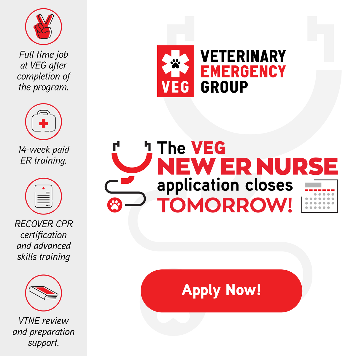 VEGERforpets's tweet photo. Applications for our New ER Nurse program close tomorrow! This program is for any recent Veterinary Tech/Nursing graduate or credentialed technician looking to explore ER 🚨Apply at https://t.co/G81liQG9yP #VEG #NERN https://t.co/FCr1gsRRwK