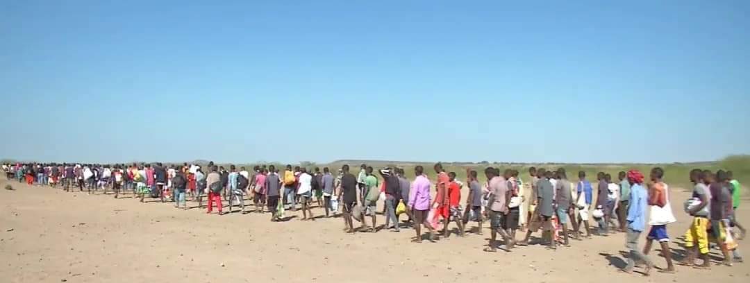 TesfayTwoldeab's tweet photo. #Eritrea, #Ethiopia BREAKING !
Ethiopian 🇪🇹 ENDF Recaptures 11 more towns &amp; areas from invasion of #TPLF rebels
More than 26,000 TPLF prisoners of war counted in last 2 days! https://t.co/WVrIp1SH89