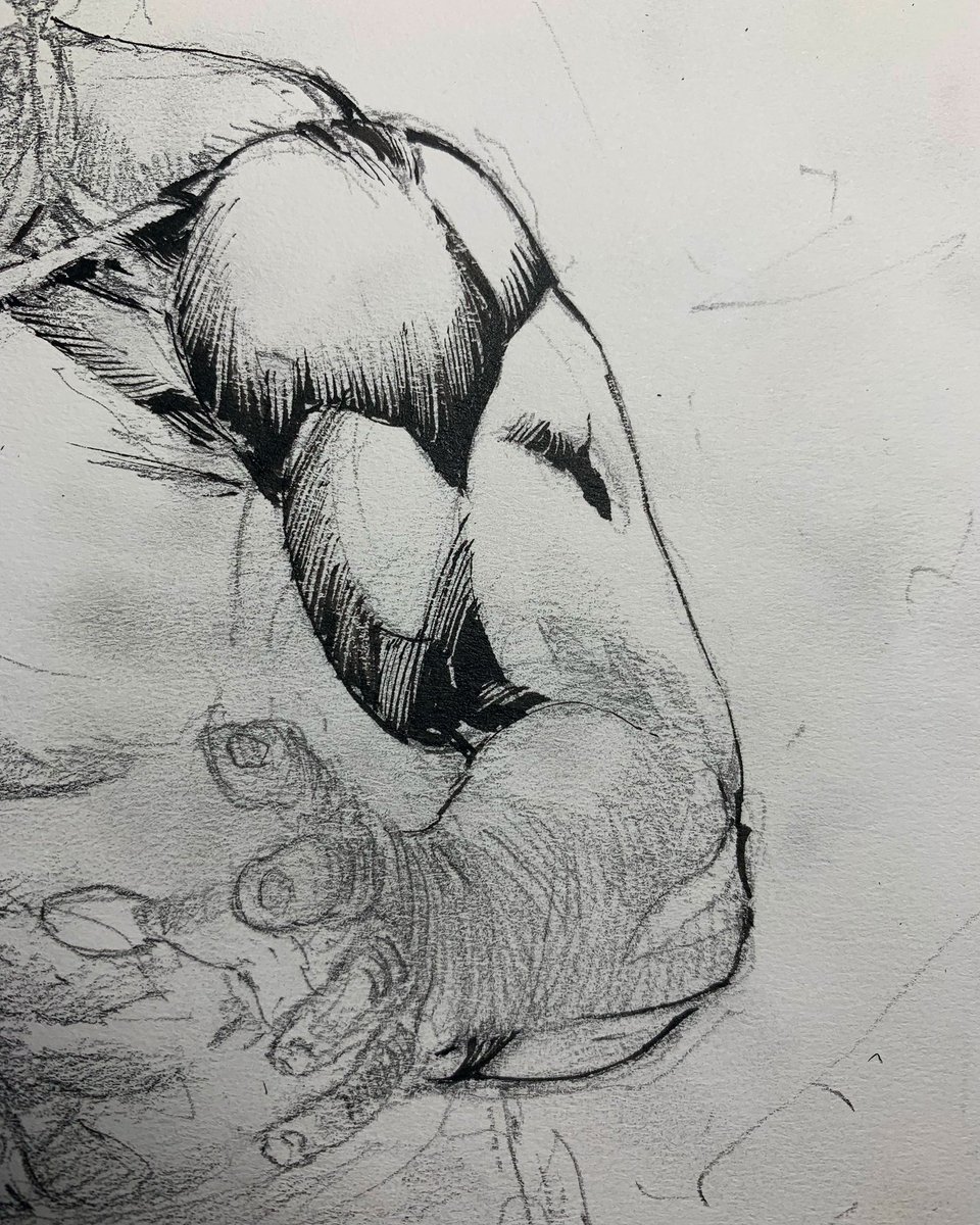 johnstanisci's tweet photo. #ink lines on an arm #teaser for your Saturday. #comics #inkingcomics #inklines #brushstroke #brushlines #drawing #drawingcomics #WritingCommunity #scifi @OriginStoryGrp https://t.co/etn6491Xpo