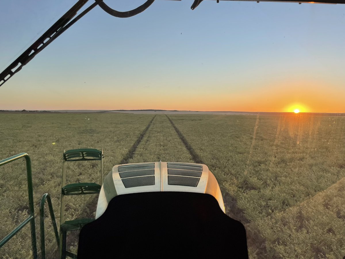 Finally time to pull the trigger on the Chickpeas 🐣 <a href="/DMAg_consultant/">Matt Witney</a> <a href="/brettbarker92/">Brett Barker</a> <a href="/JasonBrand/">SouthernPulse</a>