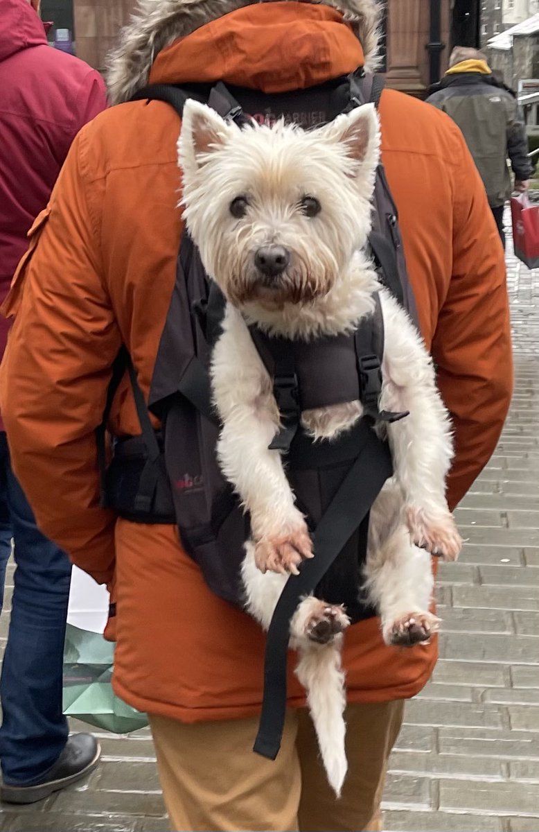 Waternook tweet media