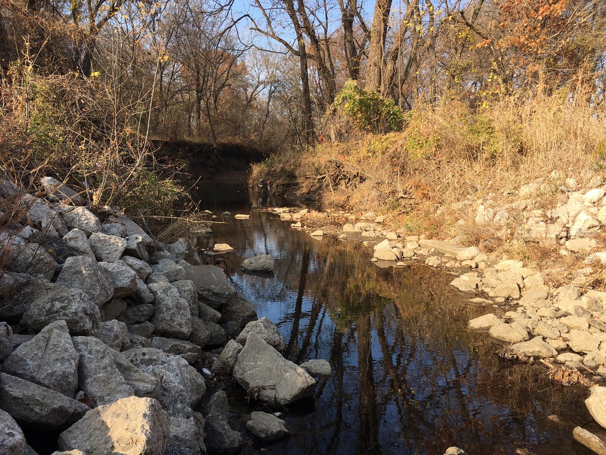 La_U_Re_N's tweet photo. 👋 from the US! I’m doing the #WorldClimateRun by helping with a #GeoHealth & #Biogeochem #ScienceFair project in OK! We’ve been sampling & found some #MusselShells on the bank of a river 👀 #ClimateCrisis #WaterCrisis https://t.co/d0nAalPGcJ