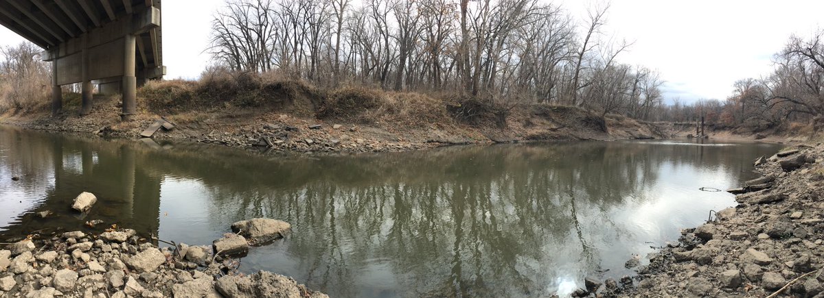 La_U_Re_N's tweet photo. 👋 from the US! I’m doing the #WorldClimateRun by helping with a #GeoHealth & #Biogeochem #ScienceFair project in OK! We’ve been sampling & found some #MusselShells on the bank of a river 👀 #ClimateCrisis #WaterCrisis https://t.co/d0nAalPGcJ