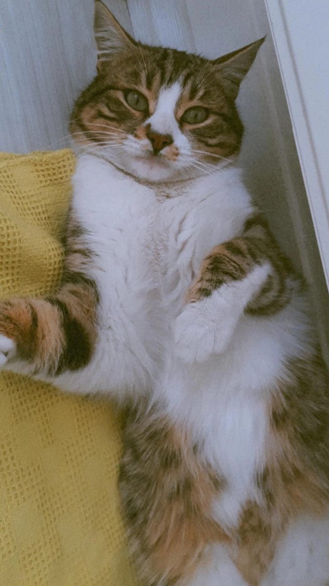 Oğluşumm muffinimm🌸