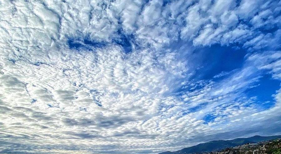 miaudit's tweet photo. @Anna2Ary @ABertirott @diamiladi @giusyoni @kuklademetra @DemoFranca @AzzurraBarbuto @barbarab1974 @petramagoni @antojackie @GerberArancio #ÈTuttaQuestioneDi…#bellezza

confronto, attraverso il dire
il riunire ciò che è sparso:
semplici e fantastiche nozioni della mente?
stare nel mondo dipende da relazioni d’#amore
con ogni suo elemento

-@ABertirott https://t.co/SSgpV9dYft

#BluÈBellezza #BlueIsBeauty

#vocifuori https://t.co/jwUqARHZtD