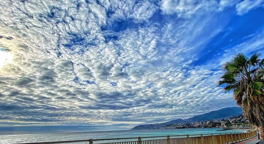 miaudit's tweet photo. @Anna2Ary @ABertirott @diamiladi @giusyoni @kuklademetra @DemoFranca @AzzurraBarbuto @barbarab1974 @petramagoni @antojackie @GerberArancio #ÈTuttaQuestioneDi…#bellezza

confronto, attraverso il dire
il riunire ciò che è sparso:
semplici e fantastiche nozioni della mente?
stare nel mondo dipende da relazioni d’#amore
con ogni suo elemento

-@ABertirott https://t.co/SSgpV9dYft

#BluÈBellezza #BlueIsBeauty

#vocifuori https://t.co/jwUqARHZtD