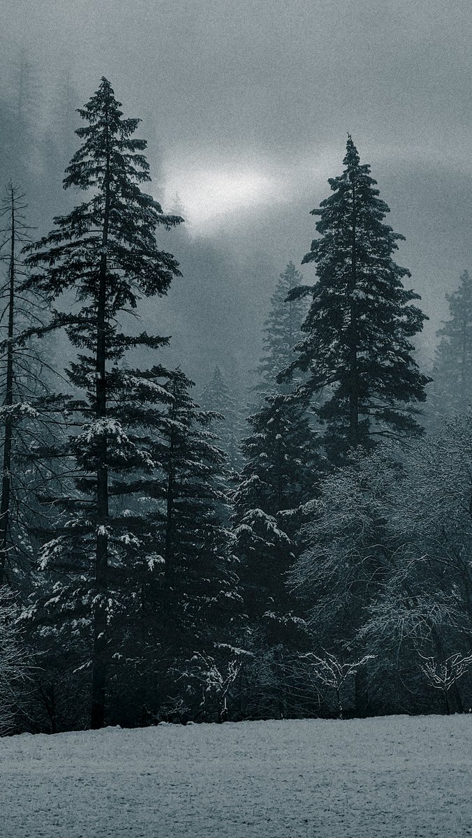 JonLuken's tweet photo. @BraydenCreation I took this was a cold moody morning. Even though the clouds were hanging heavy, the sun was still trying to break through. #moody #heavyclouds https://t.co/TU9LAeSRyi