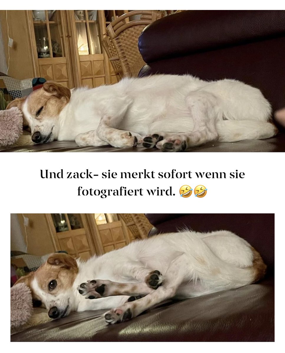 Never_Gives_Up (@never_gives_u_p) on Twitter photo 