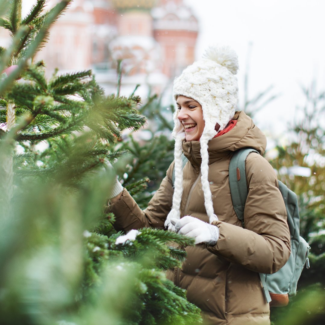 Did you know a Christmas tree can take up to 12 years to grow?! 🎄 Renting a Christmas tree can be a more sustainable option, instead of buying a new one every year.

Have you got your Christmas tree yet? 🎄

#christmastree #christmas #winter