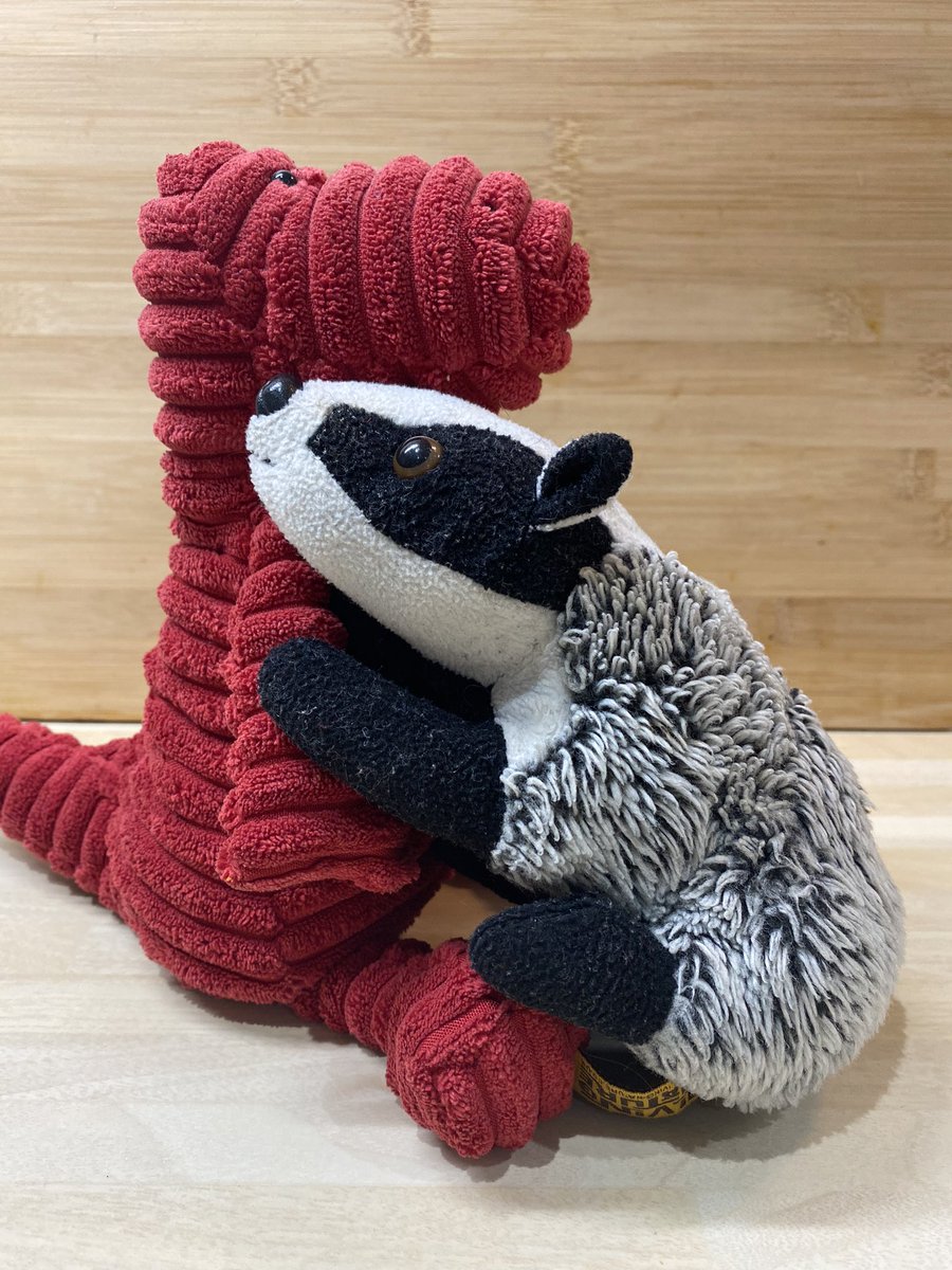 BellaandBarty's tweet photo. Not long to go now Ruby until episode 2 of #ChristmaswithBella Ruby! Half an hour to go everyone! https://t.co/nn2idekOfM