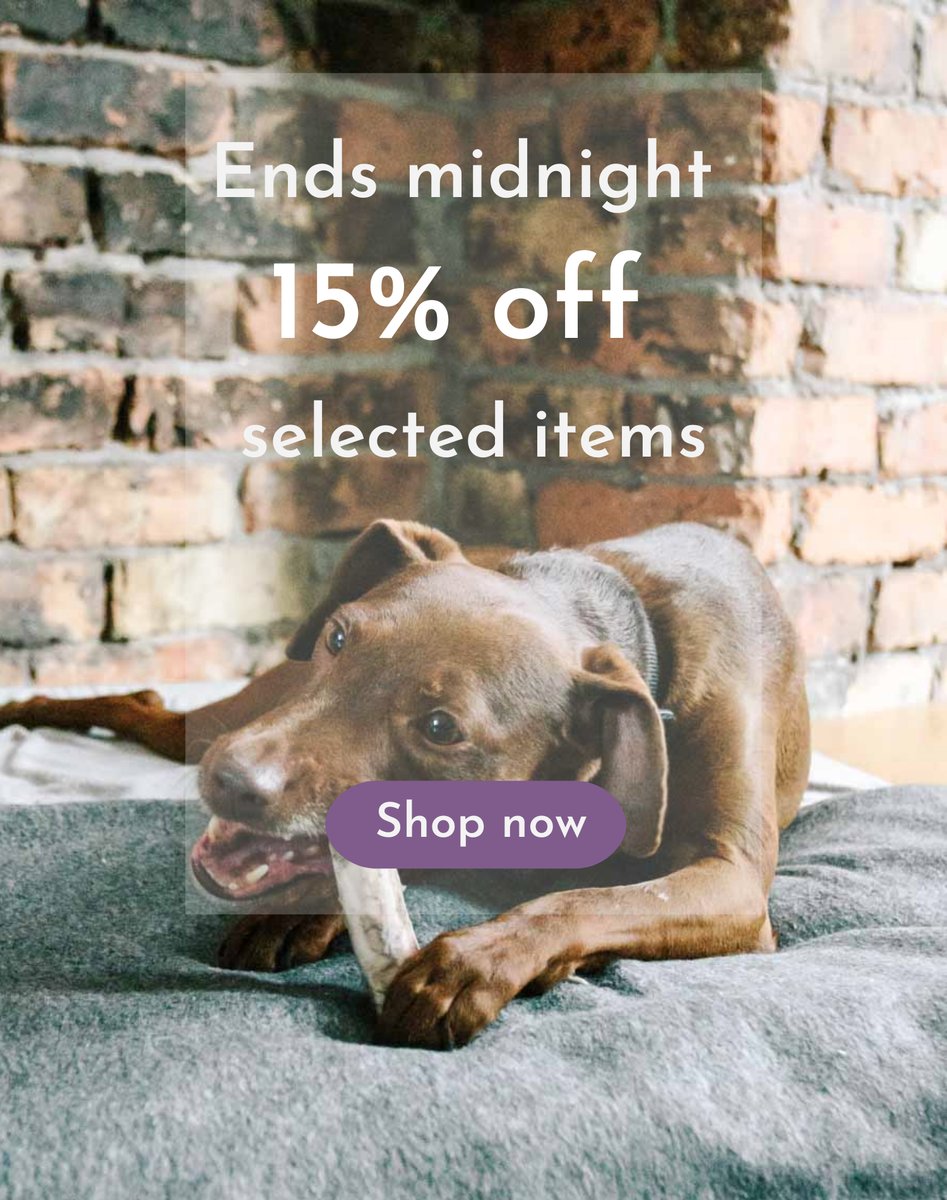 LovePurpleBone's tweet photo. Last chance! 15% off ends midnight tonight - https://t.co/AV1wwYUwoi https://t.co/PDEqsx3hh6