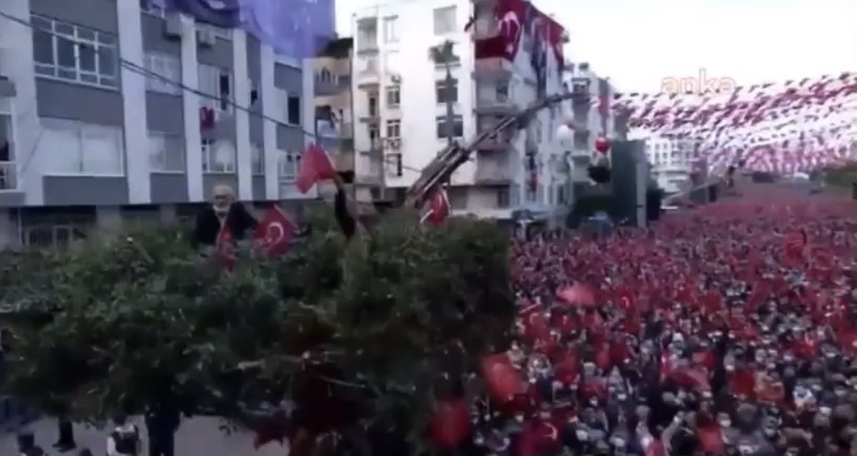 Tamam ağlama, Mersin mitinginde sadece 4 kişi vardı.

Ağaçtan izleyen:))

Görmeliydiniz nasıl güzeller, eski toprağın enerjisini metrelerce uzaktan hissettim