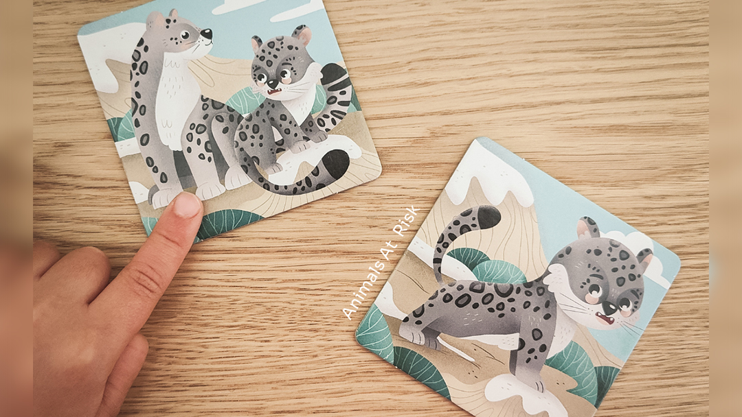 Today is #wildlifeconservationday - a day to spread awareness about protecting our natural world. This photo from our Animals at Risk! game shows a snow leopard, one of many endangered animals. Learn about other endangered animals in #AnimalsatRisk ➡️ amazon.com/Adventerra-Ani…