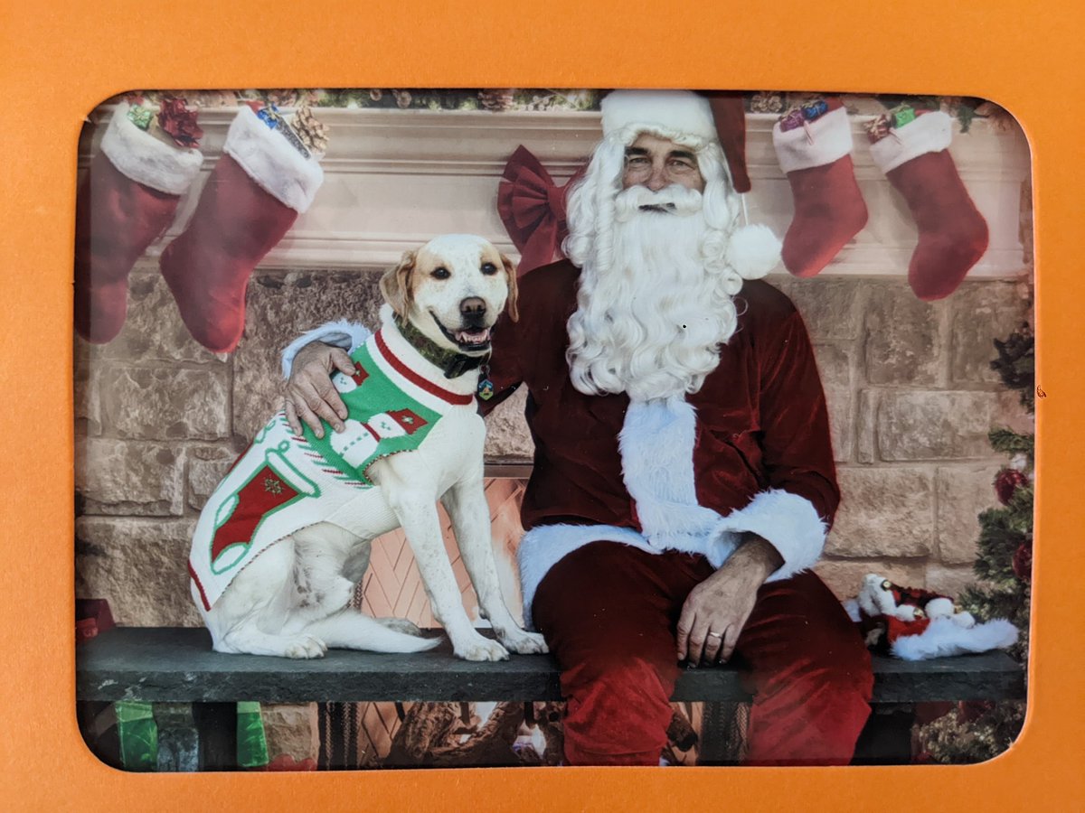 owenhella's tweet image. I hab to ware SWEATER to meet dis guy! Idk y he is not so speshul just sum guy wut is da fuss?? Maybe he shud hab worn sweater to meet me, owen!!!! #MerryChristmas #HappyHolidays #MeetingSanta