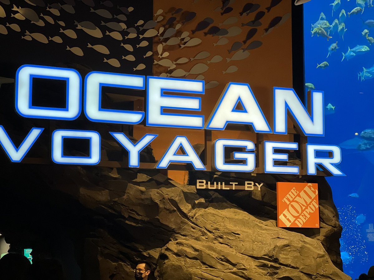 Toshah Hightower tweet media