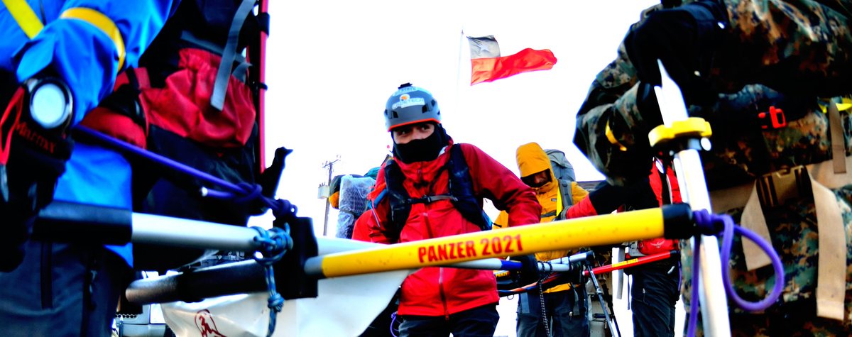 Proyecto Panzer tweet media
