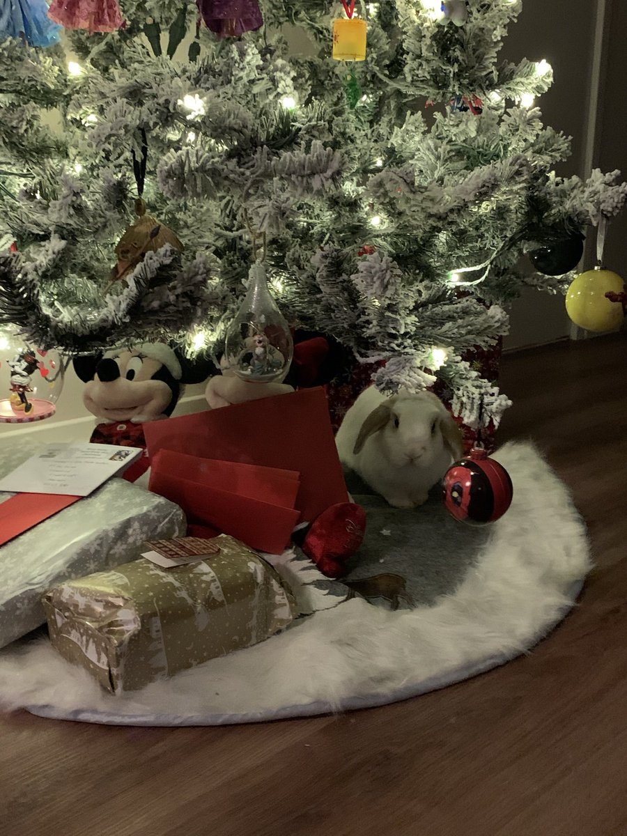 Ann-Marie Morrison tweet media