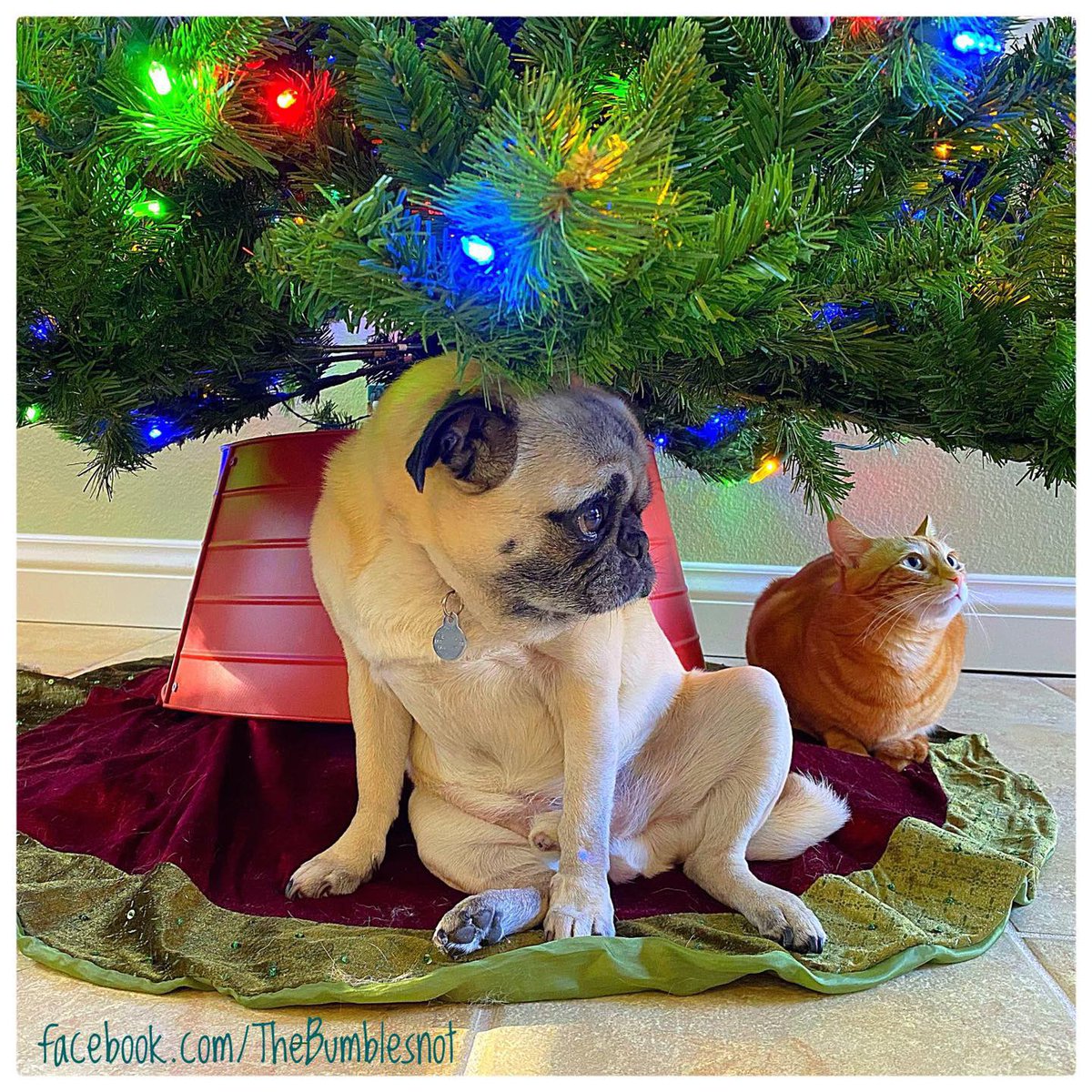 John Gregory tweet media