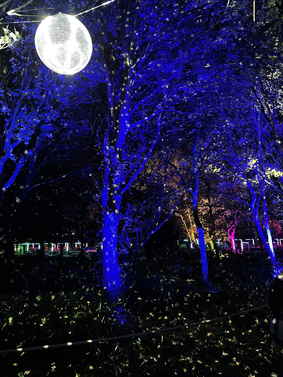 #DublinWinterLights #MerrionSquare