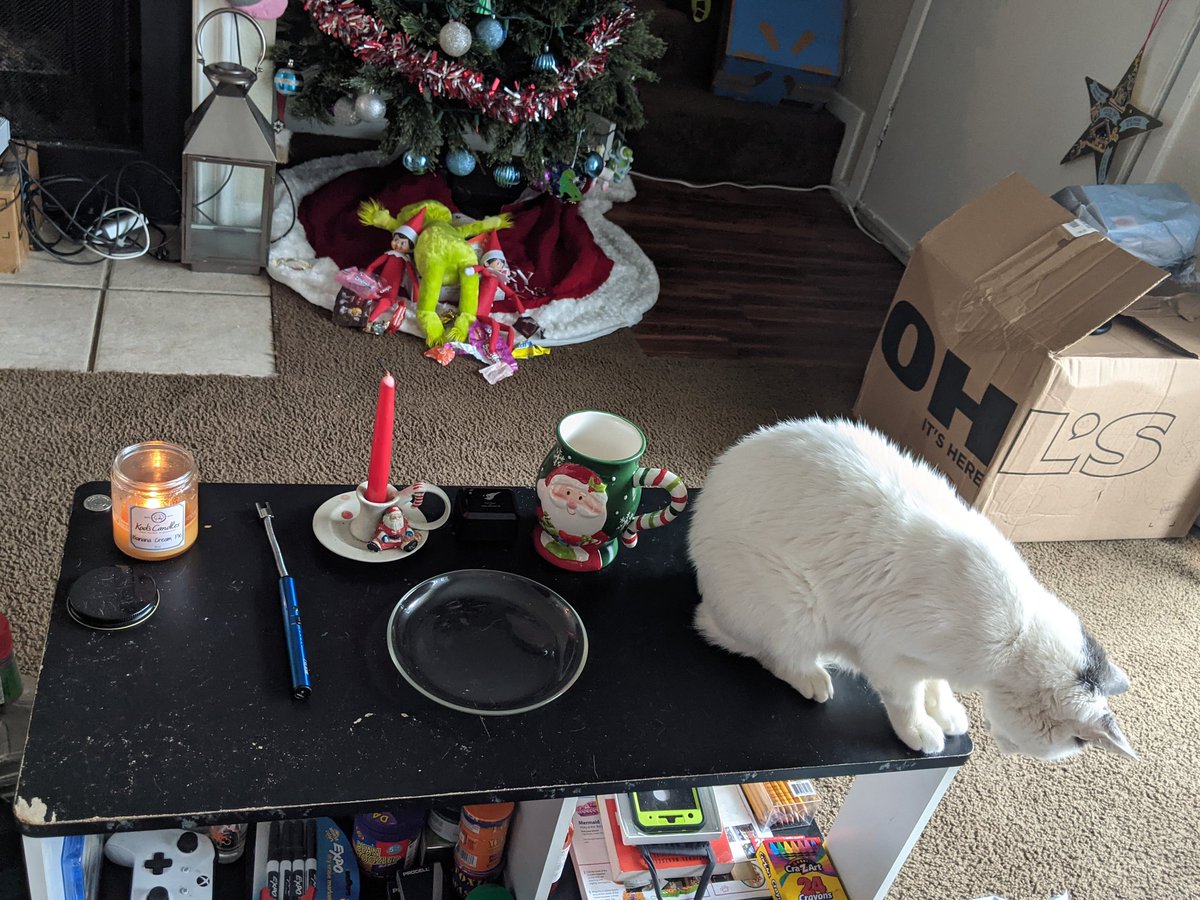 Lillybloom55's tweet photo. My mom wonders why all my coffee table decorations are to the left on the table
But I bet y'all see why 🤣🤣🤣
#catissues https://t.co/QPulnMDVhs