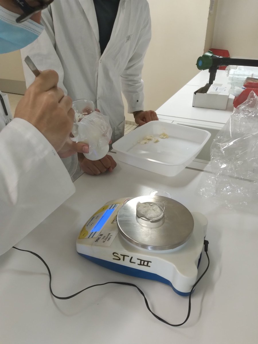 lfpchambly's tweet photo. @Bilou1604 @PrincipaleLa @Clg_Ronsard En effet, les voici en cours de fabrication et d'analyse par les élèves de terminale STL biotechnologies de Franconville ! https://t.co/raALaurhAZ