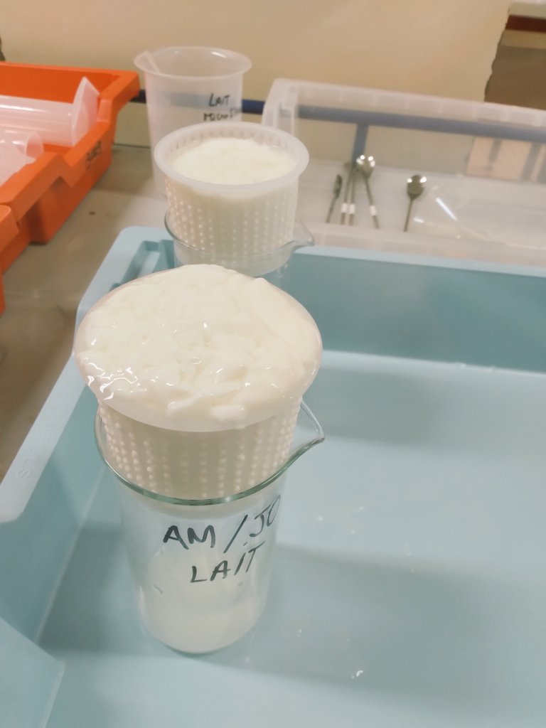 lfpchambly's tweet photo. @Bilou1604 @PrincipaleLa @Clg_Ronsard En effet, les voici en cours de fabrication et d'analyse par les élèves de terminale STL biotechnologies de Franconville ! https://t.co/raALaurhAZ