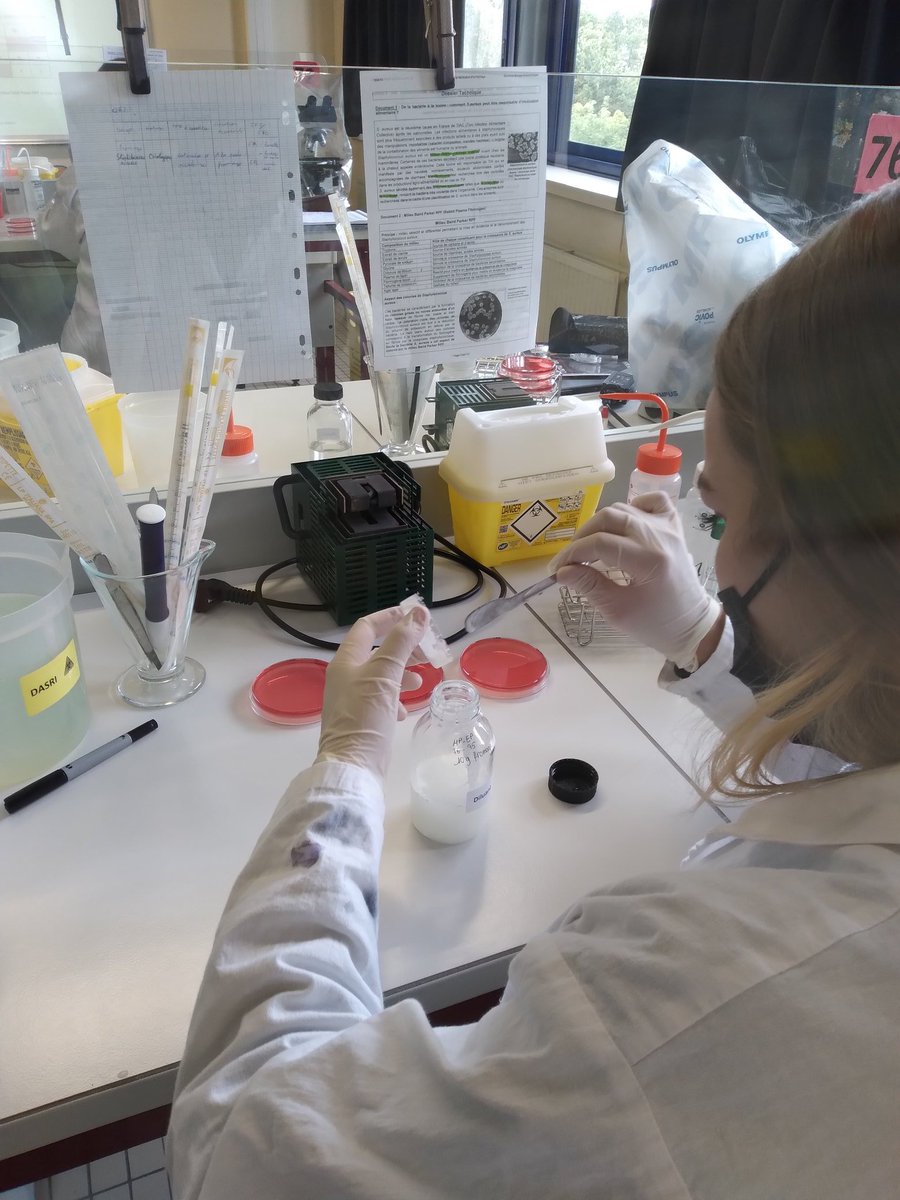 lfpchambly's tweet photo. @Bilou1604 @PrincipaleLa @Clg_Ronsard En effet, les voici en cours de fabrication et d'analyse par les élèves de terminale STL biotechnologies de Franconville ! https://t.co/raALaurhAZ
