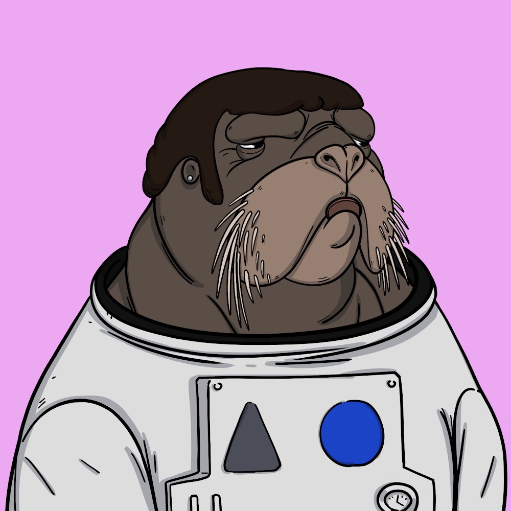 Tropic_Bamboo's tweet photo. Had to grsb 3 more @WATwalrus before the sell out. Theyโre pretty cool NGL. #TuskForce #WATwalrus #WATW #WeAreTheWalrus #Thebeetles #KuuKuuCaaChoooo #BlistasOnMyFINGAS #NFTs #NFTart #SolanaNFT #SellingOut #GetEmQuick #MoonMission #DiamondHands #10SOLfloor https://t.co/2BQdHR34pY