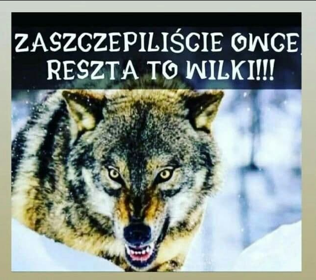 ElisabetJonsso4's tweet photo. "jeśli nas zmusicie, pozabijamy was" #Stop1449 https://t.co/ke1VmBrANL via @YouTube https://t.co/MV6SD4v4dQ