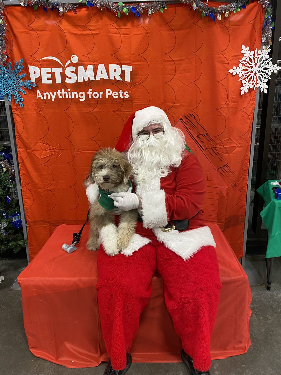 Jeffrey’s first visit to <a href="/PetSmart/">PetSmart</a> was so sweet! He loves everyone and Santa was no exception #PetSmartSantaDays