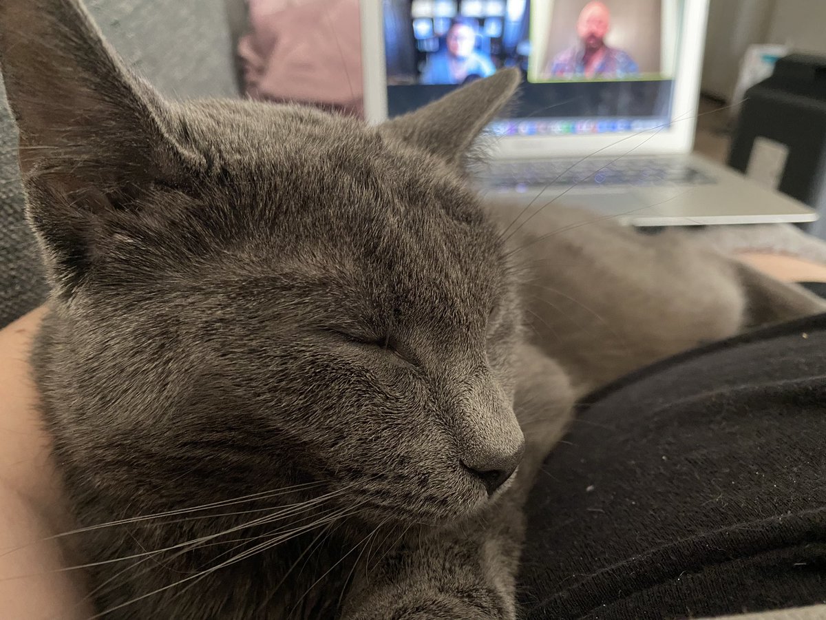 Betsy A Decillis (@decillis) on Twitter photo Thank you <a href="/JacksonGalaxy/">Jackson Galaxy</a> & Stephanie for the wonderful session on pet grief. And thank you for answering my question about Cesare (Chez-Uh-ray).
It looks like my new boy loves your voice as much as Cesare did, Jackson. Thank you <a href="/JacksonGalaxy/">Jackson Galaxy</a> & Stephanie for the wonderful session on pet grief. And thank you for answering my question about Cesare (Chez-Uh-ray).
It looks like my new boy loves your voice as much as Cesare did, Jackson.