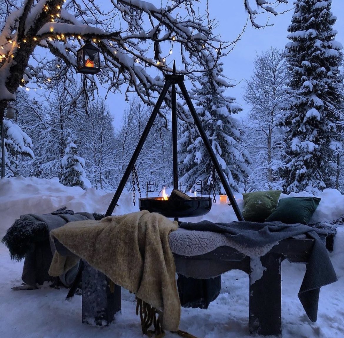 tmbIrpics's tweet photo. A romantic winter ☃️ https://t.co/KRG0dKpuxs