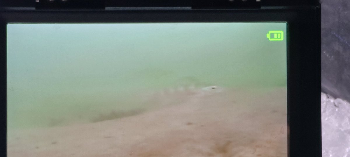 dalec4013's tweet photo. Finally seen a fish https://t.co/aoYbiwJO9V
