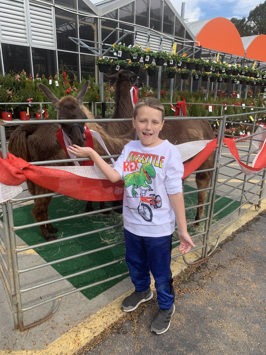Sdb923's tweet photo. Fun Christmas surprise with Tootles the Llama along with Abbie the Llama. Kiddos and adults loved them!!#0145homedepot @hollytate122 @thdsandi @MikeGordonHD Spreading Holiday Cheer. https://t.co/YFHE4ZGLT2