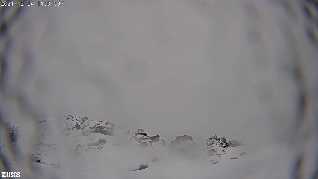 Colin McCarthy tweet media