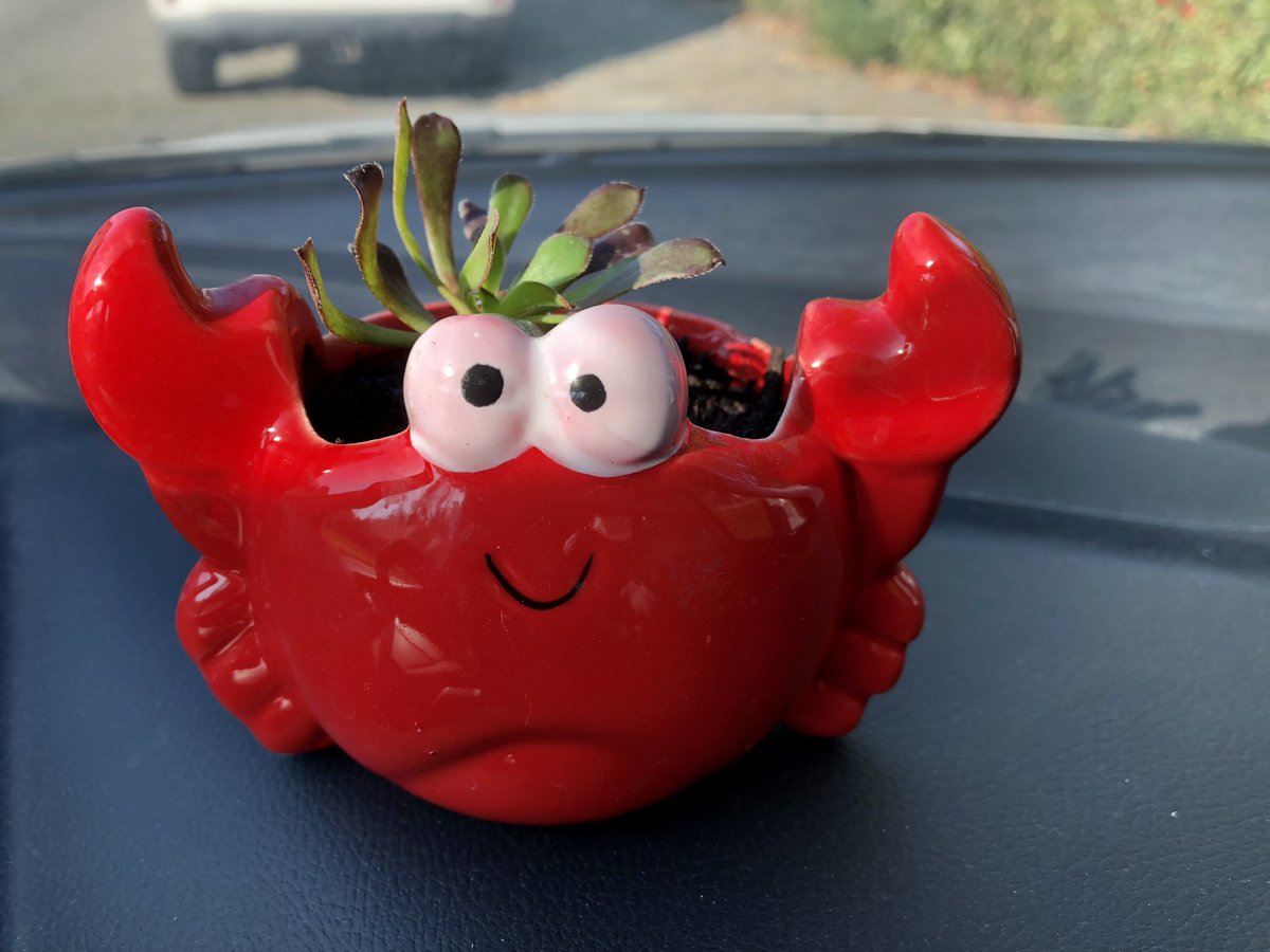 Still got Christmas shopping to do? There’s a bunch of vendors with awesome stuff at a craft fair at Alamo Elementary on Orchard Ave in Vacaville. They’re open till 3 today.