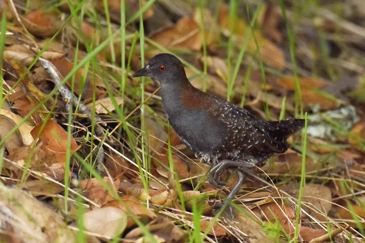 OHHHHHH MYYYYYYY GOSHHHHHHHHHH