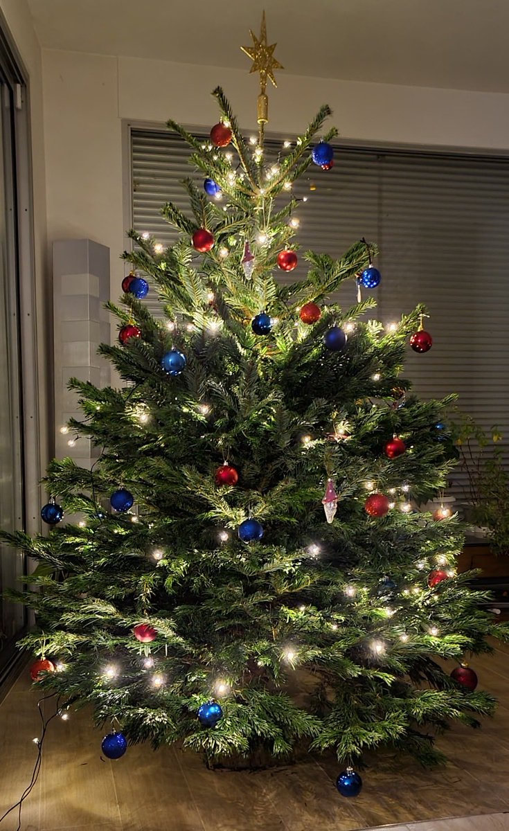 nalinabauer's tweet photo. Enjoying the weekend#thetreeisup https://t.co/Dm1a4gEVmf