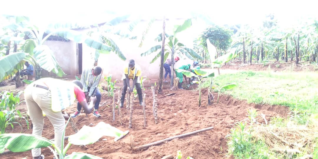 MusazaRyvcp's tweet photo. Urubyiruko rw'abakorerabushake mu murenge wa #Musaza uyumunsi rwakomereje Ibikorwa byari mu kagari ka #Musaza aho kubakiye umurima wigikoni umuturage utishoboye witwa KAMUGUNDU Frederic . Igikorwa cyagenze neza. @youthkirehe @NzirabatinyaMo4 @ncpdrwanda @rangira @KubanaRichard https://t.co/YthS4fTVEE