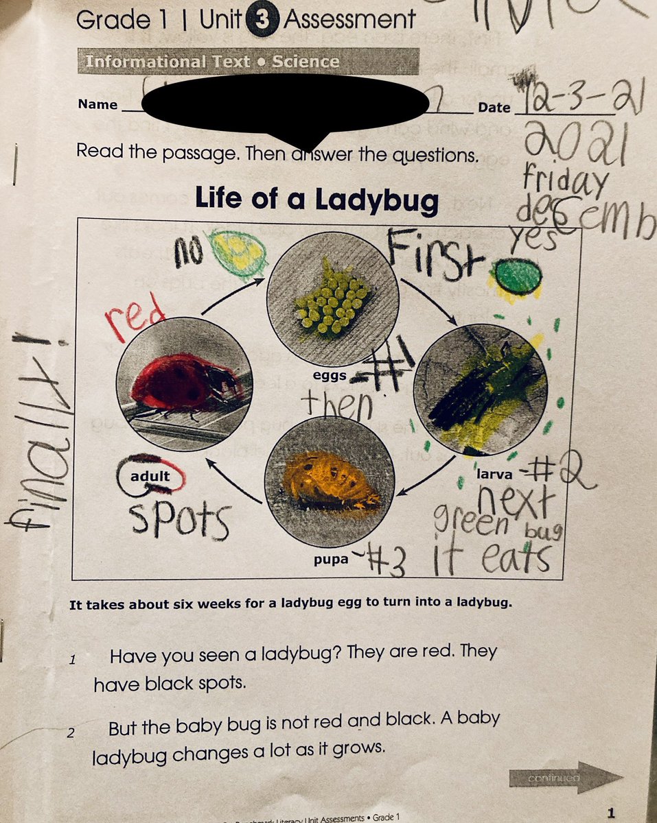 laura_mihalko's tweet photo. Using annotations to help with meaning and comprehension during our unit assessment! The students did a great job! 📝@AshleyMN2014 @trtomasko @JohnZesiger @MV_Knights #MVLearningFocused https://t.co/a5BMxuAs8o