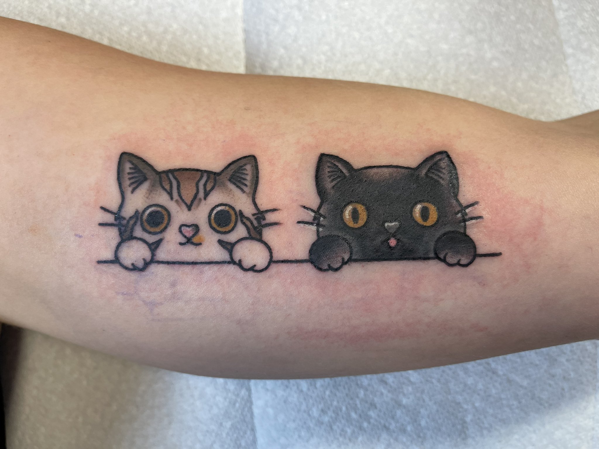 Kʌylʌ Eeeeeek Officially Leveled Up As A Cat Momma Cattattoo Tattoo Catsoftwitter T Co Zmmay2hcsg Twitter