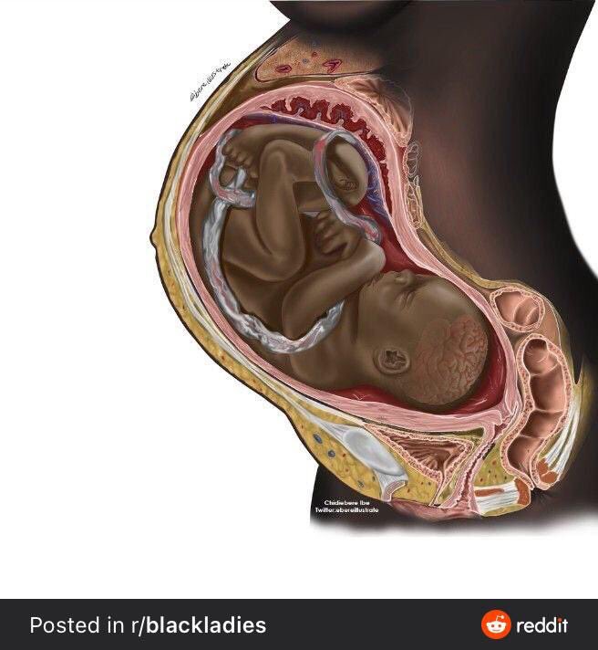 ciscoserrano's tweet photo. Okay 1.) the artist that drew this is very good. This is beautiful.

And 2.) this image just made me realize this is the first time I’ve ever seen a depiction of a black fetus and I think that’s crazy. https://t.co/PUtjd3MUHi